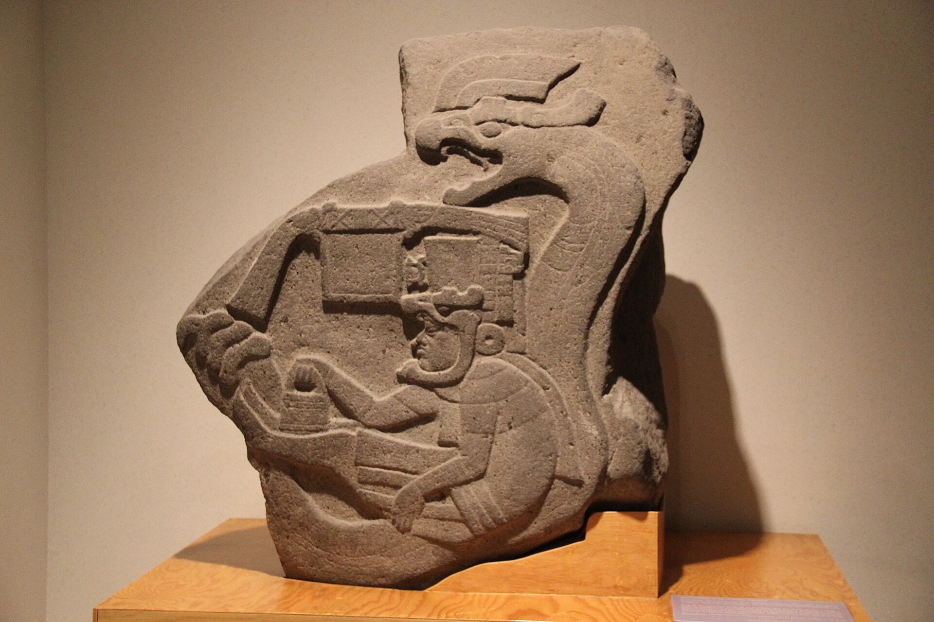 A basalt boulder relief on display: a figure seated in profile wearing an elaborate headdress, a small handled bag held out before him, enclosed by a serpent whose crested head rises above.