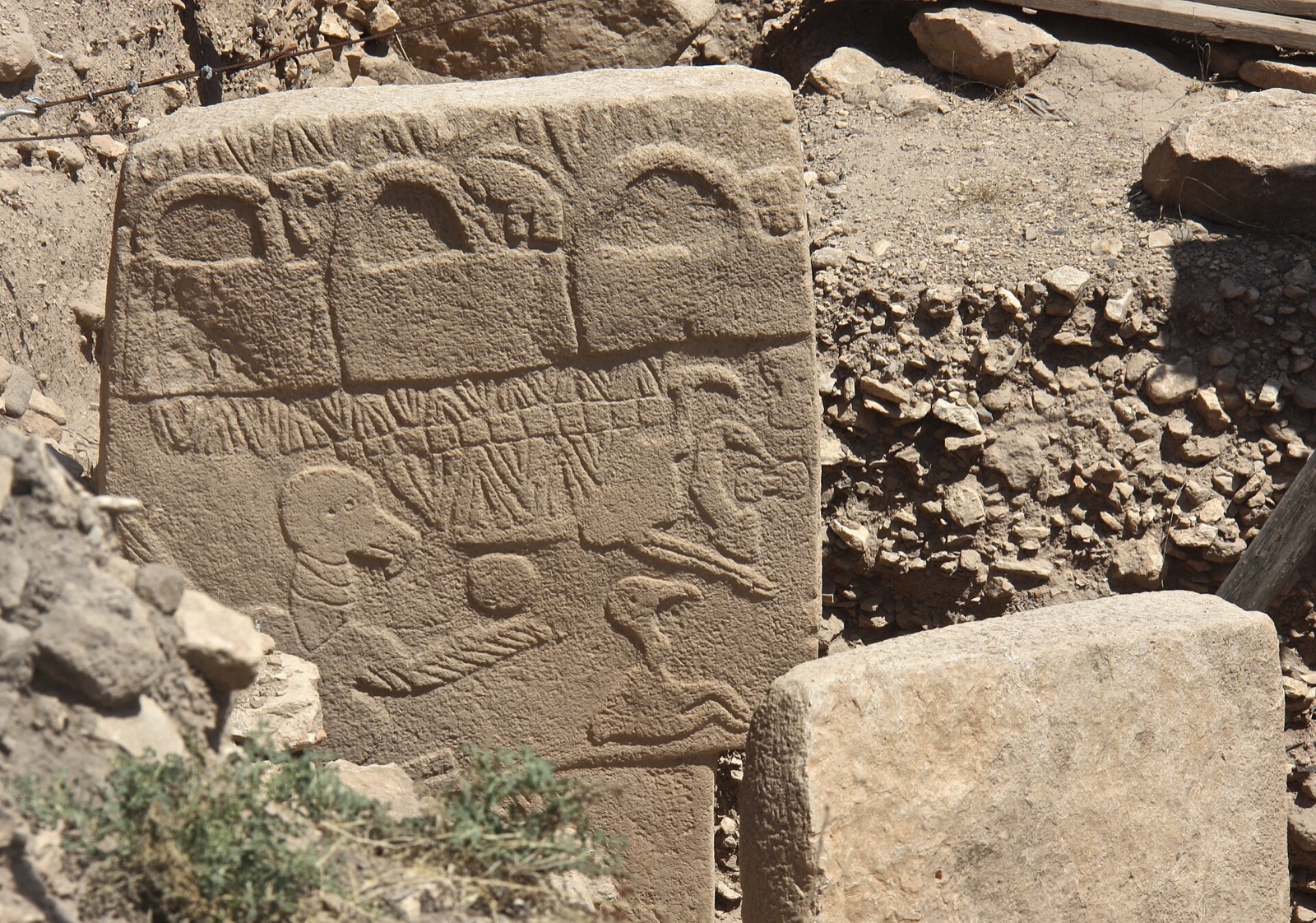 A limestone T-pillar photographed in situ at an angle, its face carved in low relief: along the top edge a row of three arched, handled shapes with small animals between them; below, a large bird with spread wings beside a disc, a scorpion and other animals. The lower part of the pillar is below the frame.
