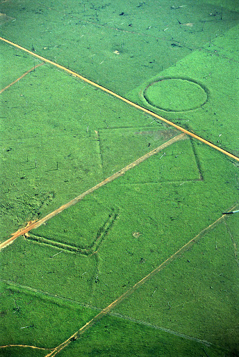 Aerial photograph of a geometric geoglyph in cleared Acre pasture — a circular ditched enclosure joined to a square enclosure by a straight embanked avenue, with cattle tracks crossing the grass around it.