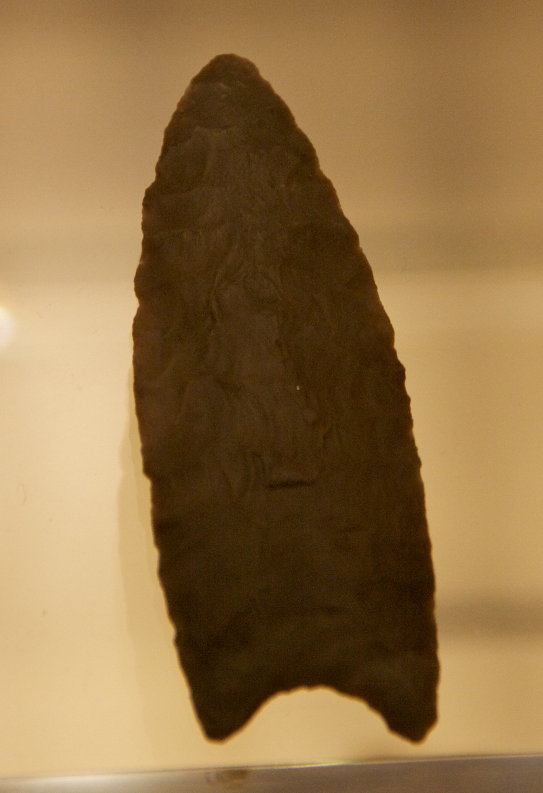 Dark brown fluted stone projectile point, lanceolate, with a concave base, photographed against a plain museum-case background.