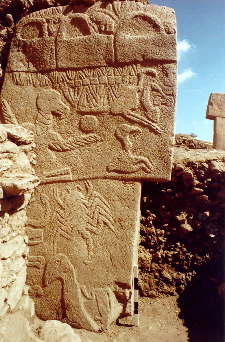 The decorated western side of Pillar 43: birds, a disc, three arched forms and a scorpion, photographed at Göbekli Tepe