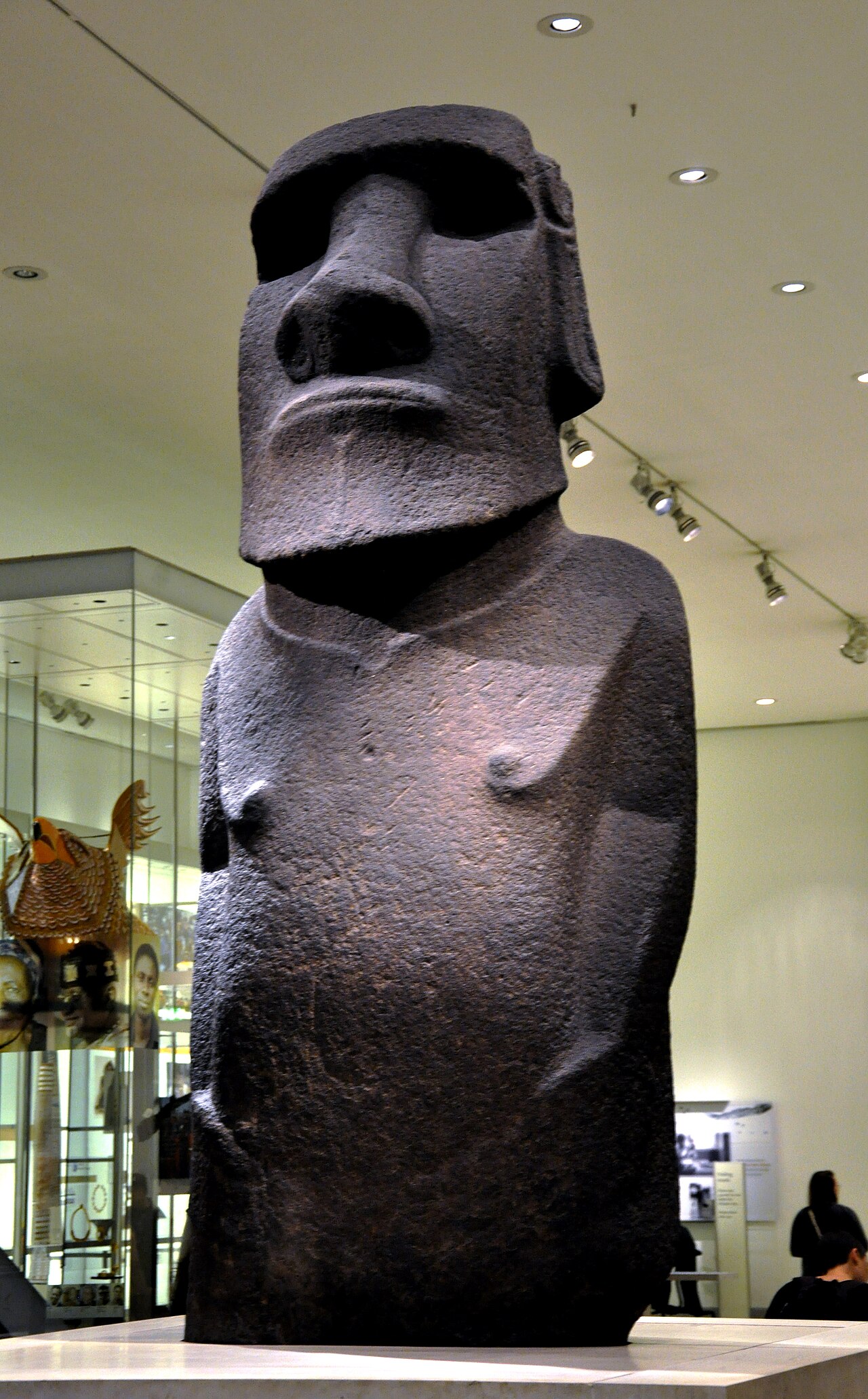 A basalt moai photographed frontally in a museum: heavy brow, long nose, and slender arms whose hands meet low on the torso