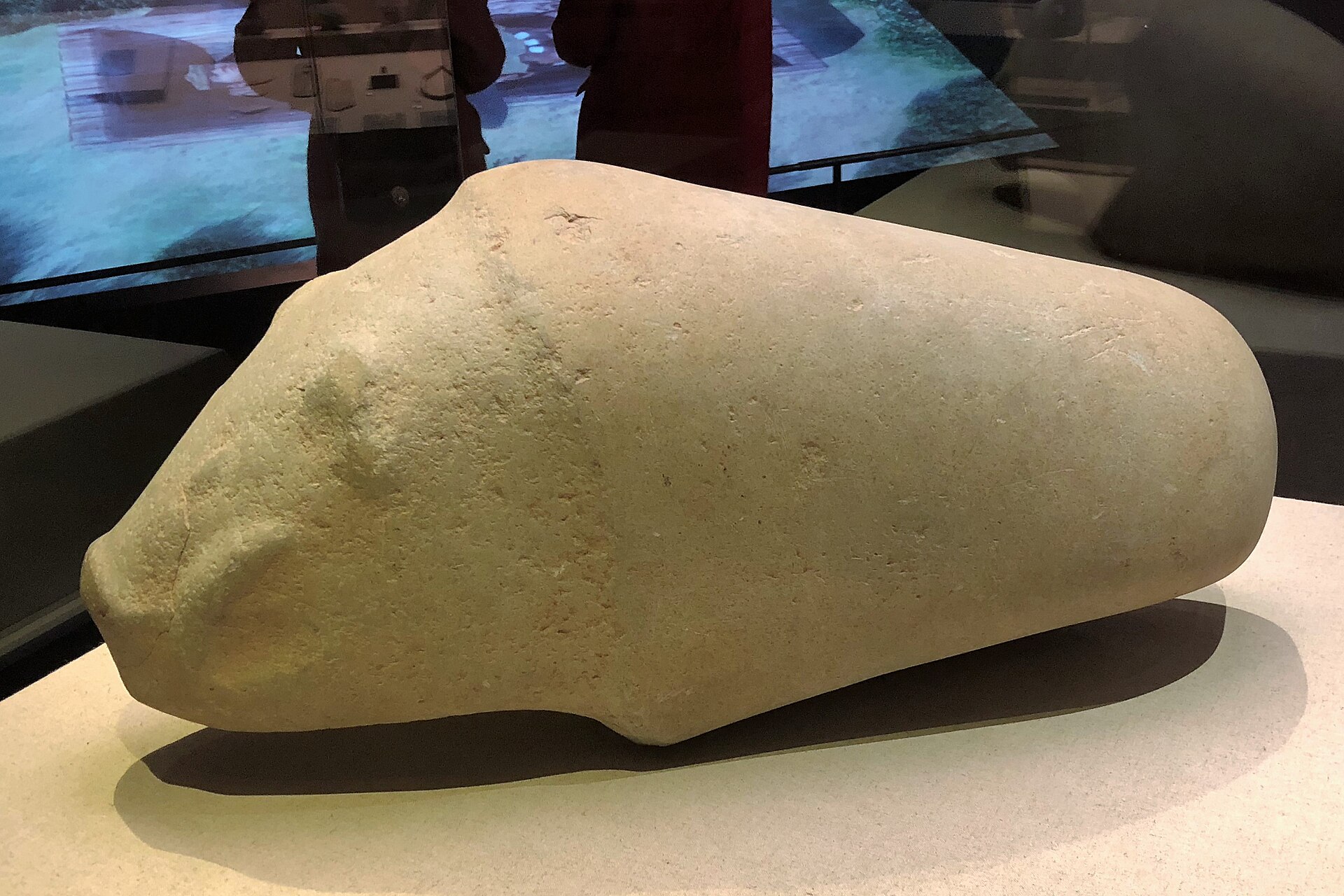 A large pale stone pig carved with a blunt snout and ridged back, lit on a museum plinth