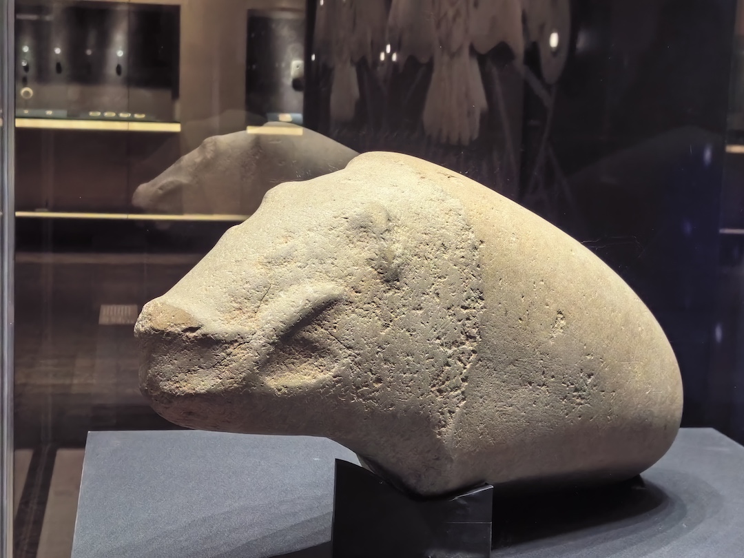 Boar-like stone sculpture in a museum case, with a raised back and projecting snout