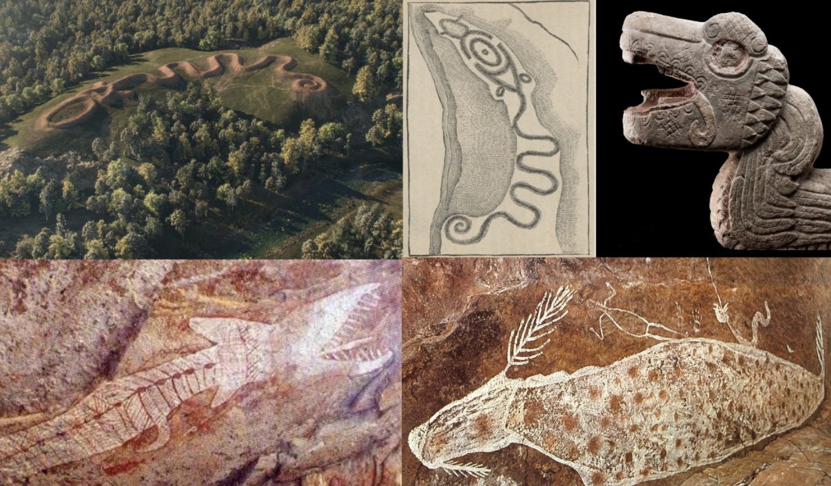 The supplied comparison montage of serpent forms