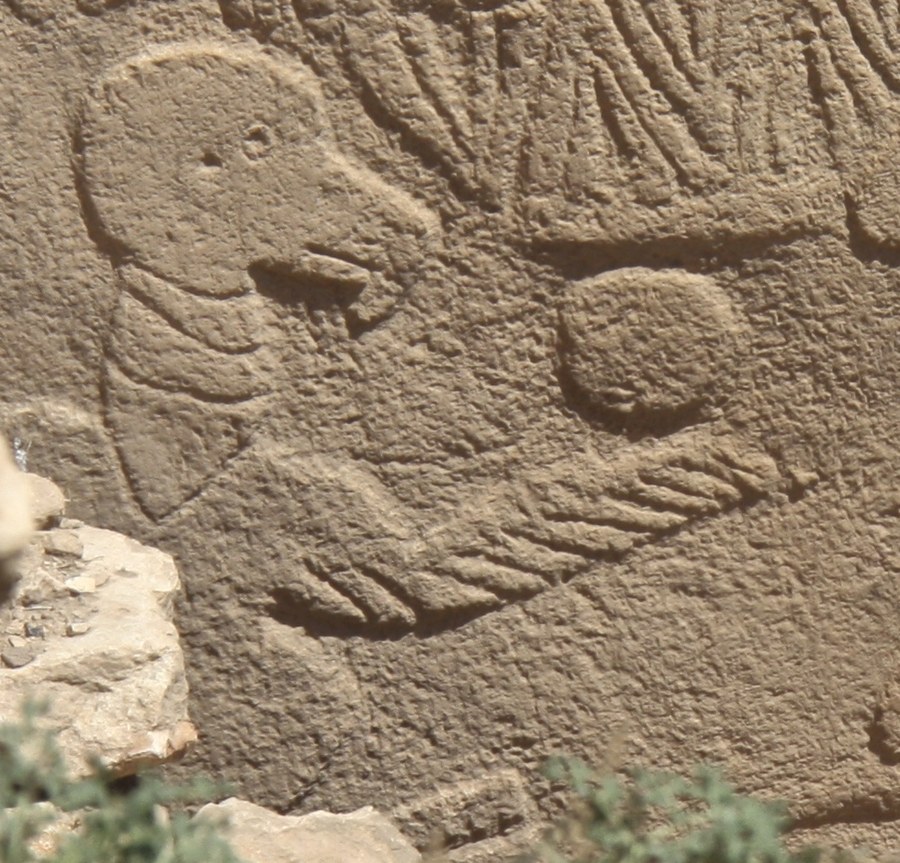 Close view of the large bird on Pillar 43: its head, two lines across the base of the neck, the disc, the striped wing and the body